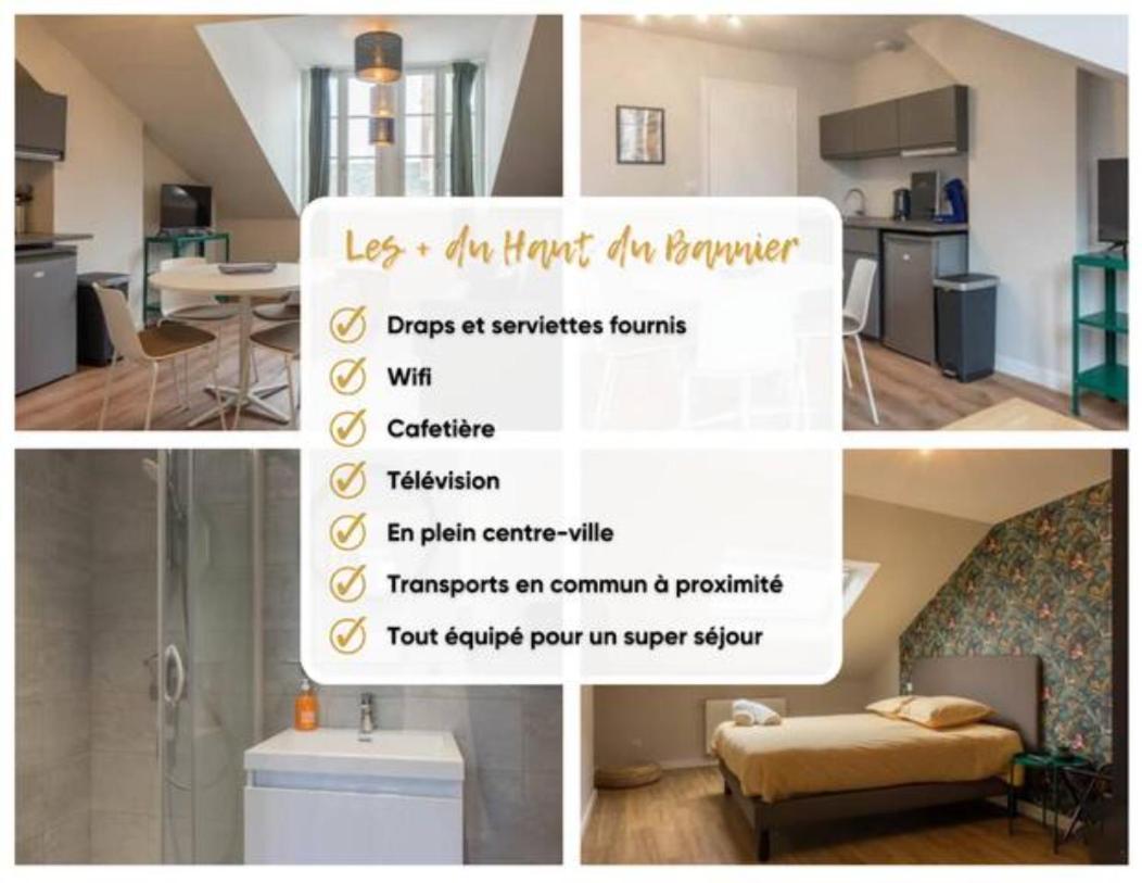 Le Haut Du Bannier * T2 * Hyper Centre * Wifi * Apartment Orleans Exterior photo